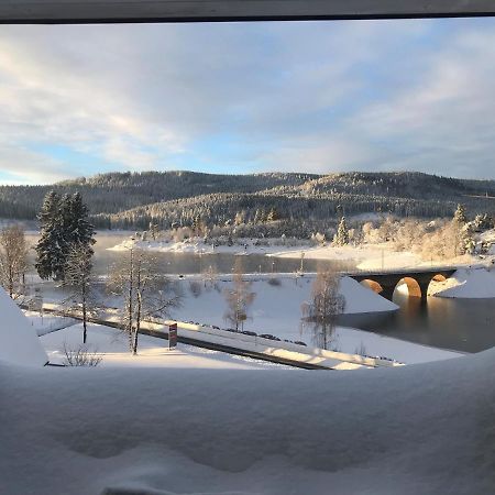 Appartement Sunset, 28Qm Schluchsee Dış mekan fotoğraf