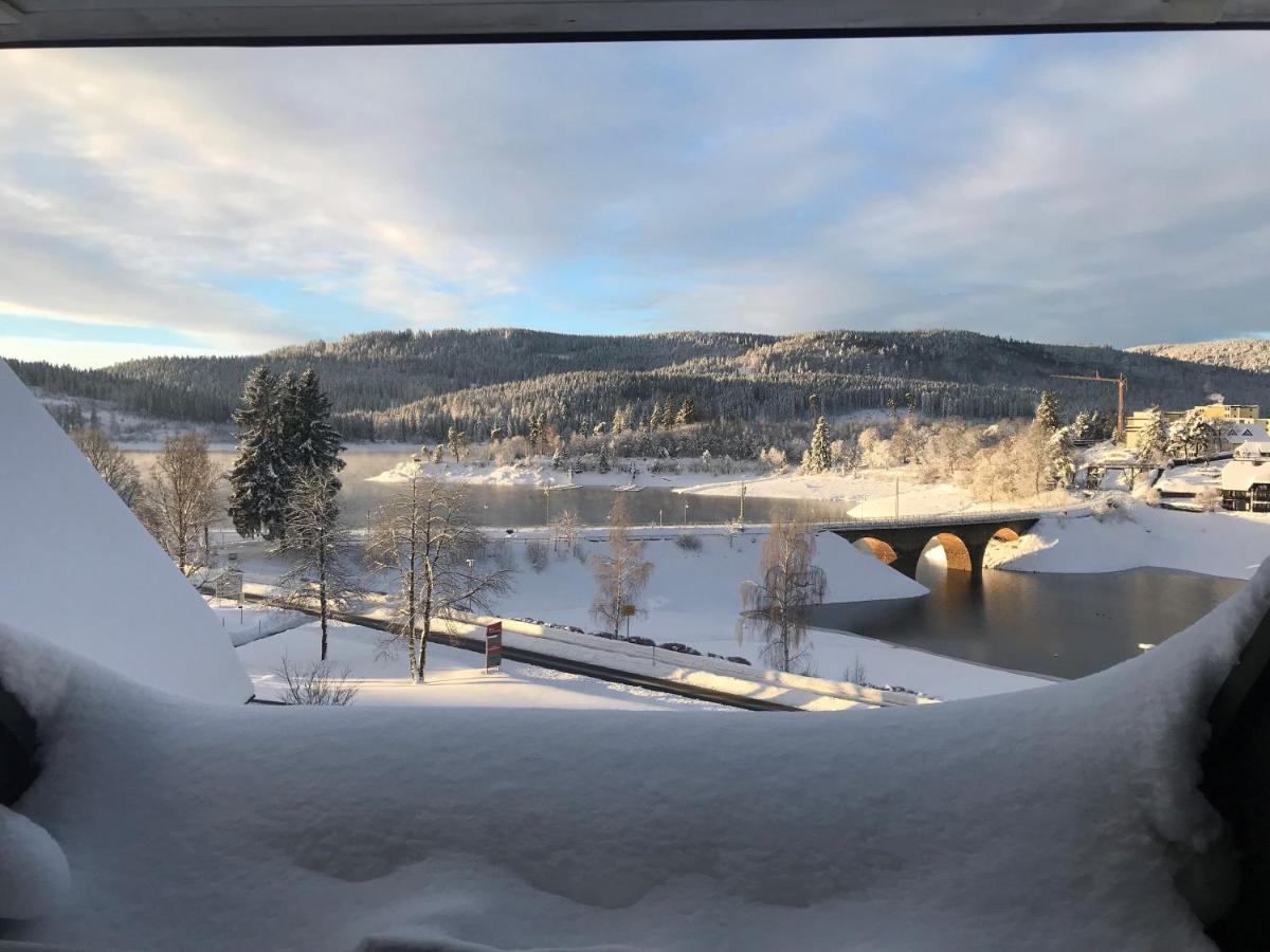 Appartement Sunset, 28Qm Schluchsee Dış mekan fotoğraf